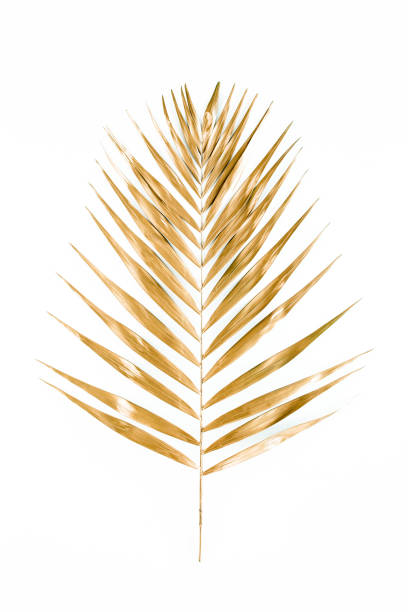 istock Gold tropical palm leaves on white background. Flat lay, top view minimal concept 1273760509