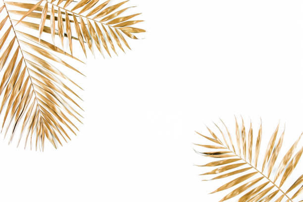 istock Gold tropical palm leaves on white background. Flat lay, top view minimal concept 1273762544
