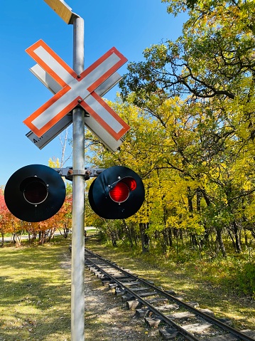 A train crossing sign with one light lit up red. The leaves on the trees are turning yellow for fall. The train track shown is for a miniature steam train.