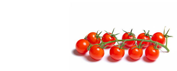 istock Cherry tomatoes branch isolated on white background . Red tomato. Tomatoes on a branch. Banner tomatoes. Isolated background. Article about vegetables. Decoration. Copy space. 1273763506