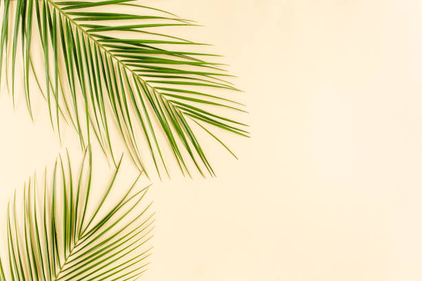 istock Tropical leaf on yellow background. Flat lay, top view 1273763701
