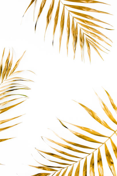 istock Gold tropical palm leaves on white background. Flat lay, top view minimal concept 1273763726