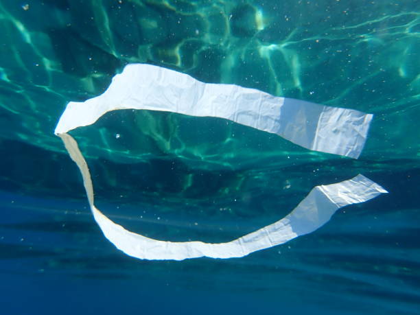 istock Plastic garbage underwater, Aegean Sea, Greece 1273768894
