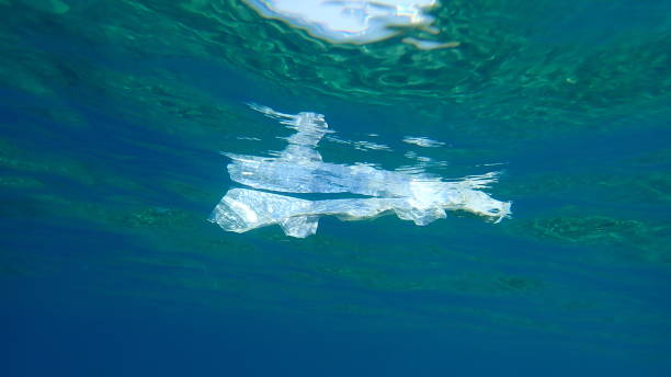 istock Plastic garbage underwater, Aegean Sea, Greece 1273769456