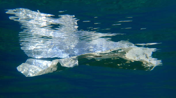 istock Plastic garbage underwater, Aegean Sea, Greece 1273769475