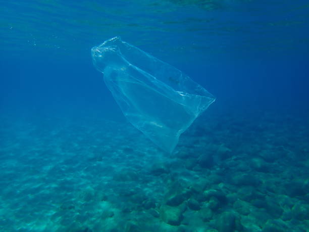 istock Plastic garbage underwater, Aegean Sea, Greece 1273769487