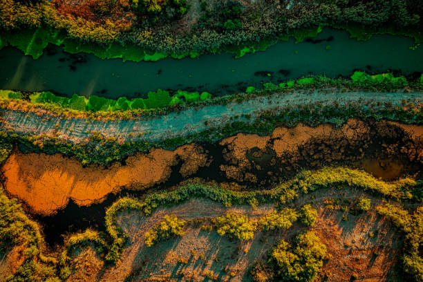 istock Nature pattern by river delta taken from above, Turkey 1273770437