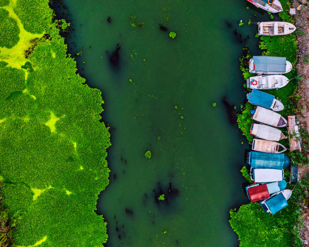 istock Nature pattern by river delta taken from above, Turkey 1273770526