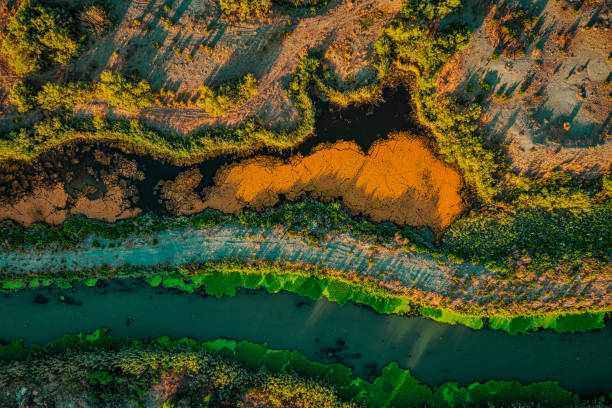 istock Nature pattern by river delta taken from above, Turkey 1273771080