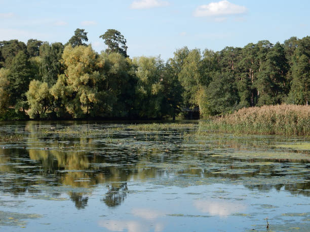 istock early autumn on the lake 1273778891