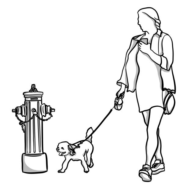 StreetSmartDog Young woman out for a walk with her cute little puppy on a leash walking drawings stock illustrations