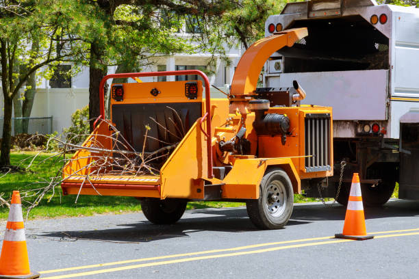 istock Wood chipper blowing tree branches cut A tree chipper or wood chipper is a portable machine used for reducing wood into smaller wood chips. Storm damage tree after a storm 1273785823