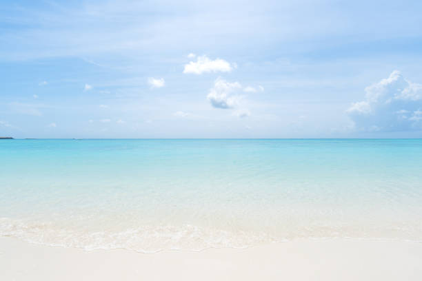 istock Clear turquoise sea water with blue sky background 1273788119