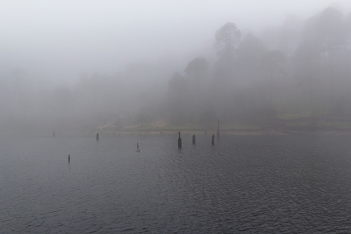 mist and fog in beautiful wet forest landscape beside Iturbide lake in Mexican highlands