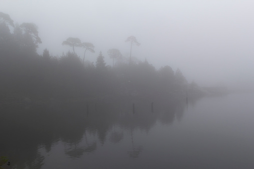 mist and fog in beautiful wet forest landscape beside Iturbide lake in Mexican highlands