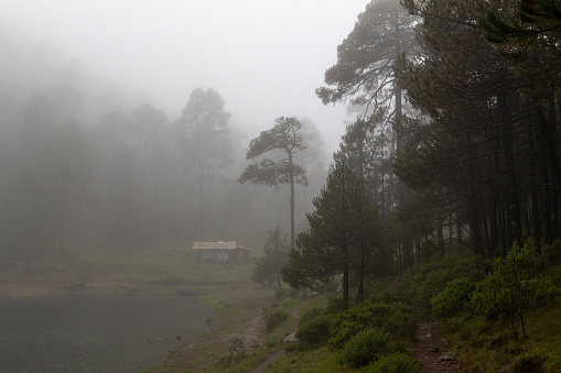mist and fog in beautiful wet forest landscape with cottage  beside Iturbide lake in Mexican highlands