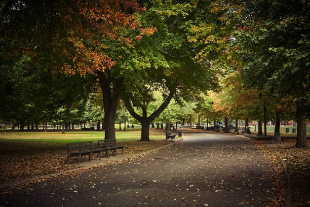 istock Trees in Flushing Meadows-Corona Park 1273801322