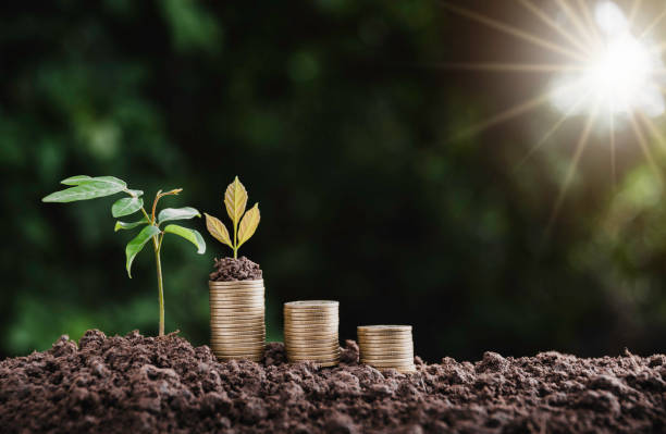 istock Pile of coins is placed on the soil and a plant grows on it. 1273808563