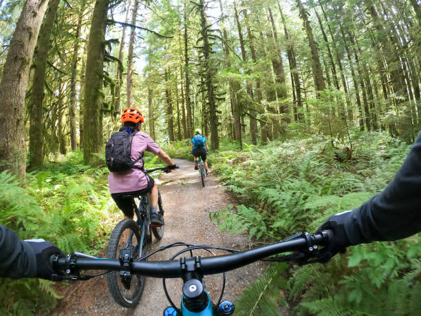 pov, mountainbiker verfolgt familie auf einbahn-waldweg - bicycle cycling exercising riding stock-fotos und bilder