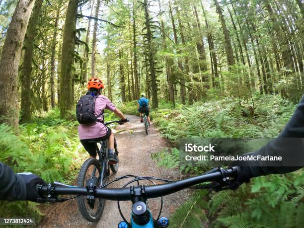 Pov Mountain Biker Following Family On Single Track Forest Trail Stock Photo - Download Image Now