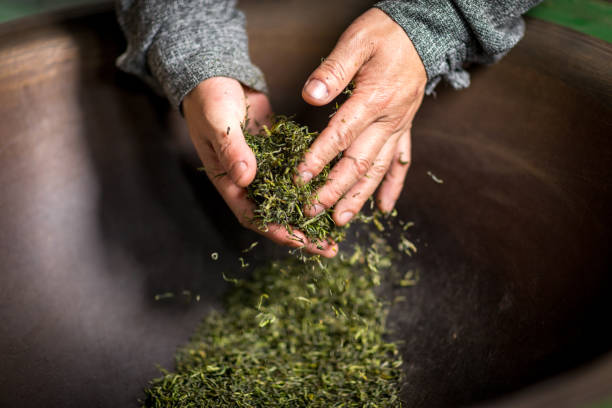 istock Chinese craftsmen, handmade tea 1273814642