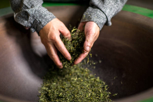 istock Chinese craftsmen, handmade tea 1273814866