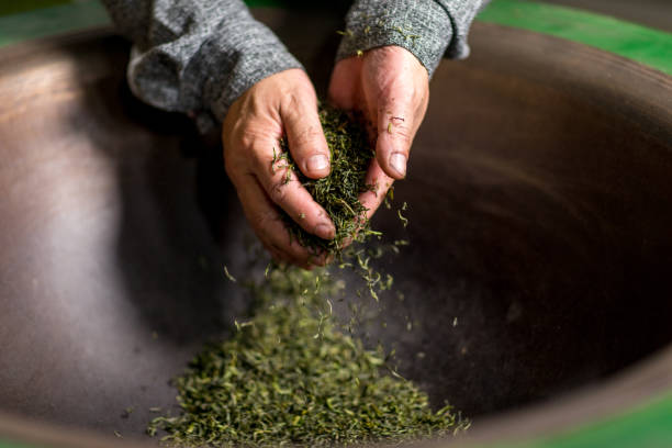 istock Chinese craftsmen, handmade tea 1273814869