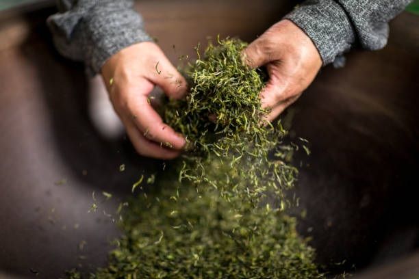 istock Chinese craftsmen, handmade tea 1273814922