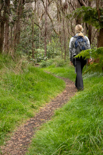 femme mûre randonnées le long d’un chemin étroit à travers une forêt tropicale - footpath field nature contemplation photos et images de collection