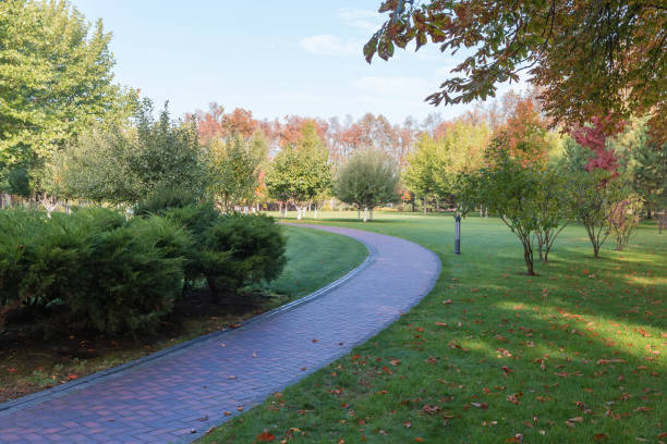 istock Curved path in park at autumn morning 1273816867