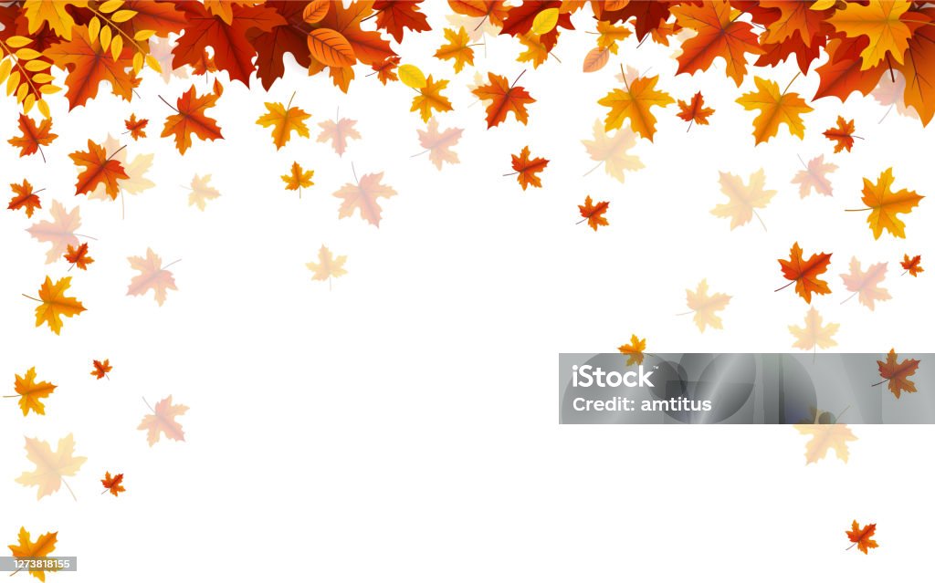 hösten faller - Royaltyfri Höst vektorgrafik