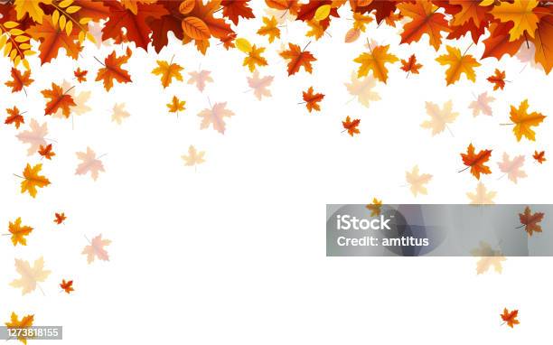 Hösten Faller-vektorgrafik och fler bilder på Höst - Höst, Falla, Löv