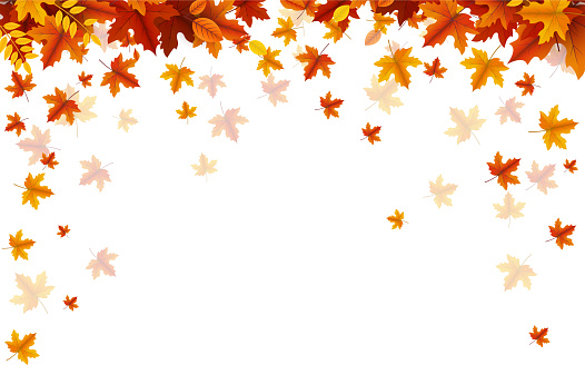 autumn leaves falling copy space background