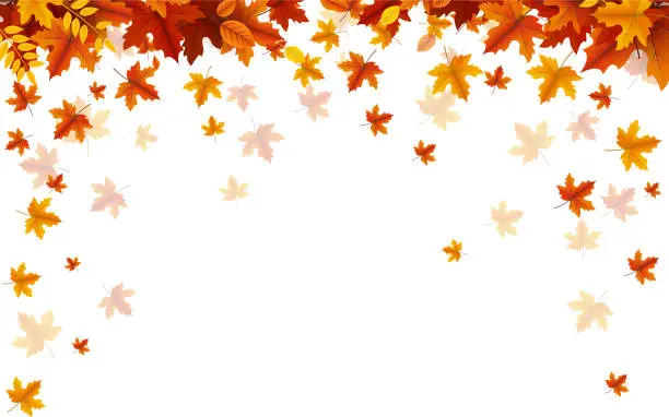 Vector illustration of autumn fall