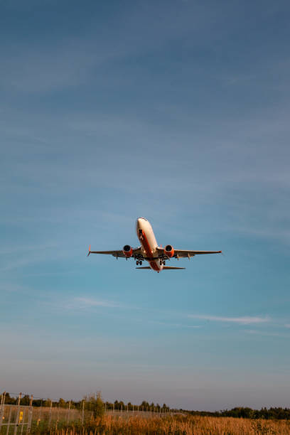 istock view of airplane landing on sunset 1273818983