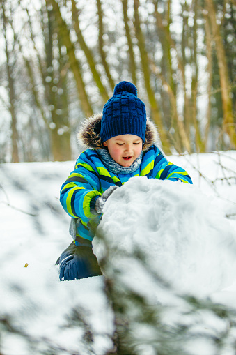 little cute boy making snowman. rolling big snowball. winter leisure
