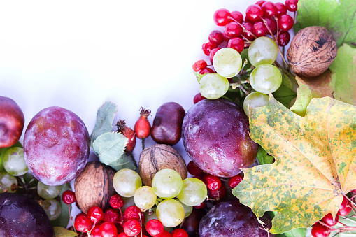 autumn harvest. frame from ripe fruits, grapes, plums and nuts. flat lay. space for text