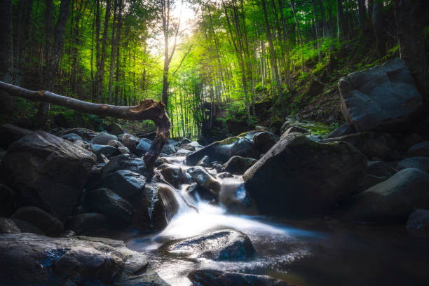 istock Abetone, stream waterfall inside a forest. Apennines, Tuscany, Italy. 1273819717