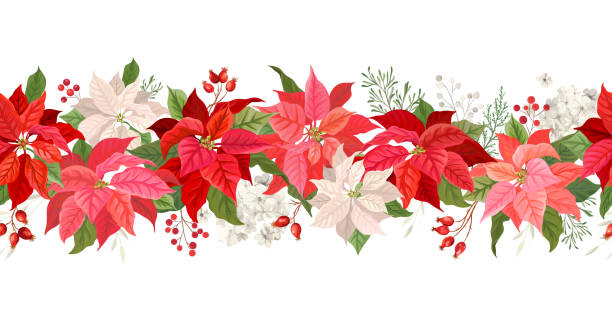 Christmas Poinsettia vector garland border, Watercolor floral winter season frame, holiday seamless background, with rowan berries, pine branch, star flowers, xmas decoration banner vector art illustration