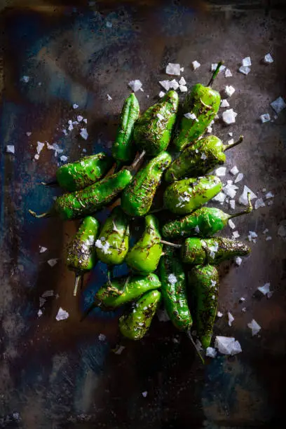 Pimientos del Padron tapas salted are Spain chili peppers vegan food on green background