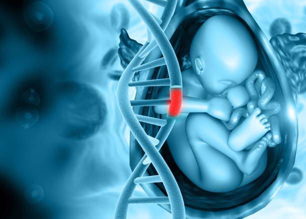 Damaged dna and fetus