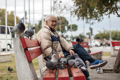 Thessaloniki, Greece ,November 7, 2017 : A  Man Sitting on a Bench Feeding Pigeons, People Portrait on the Street in Gumulcine