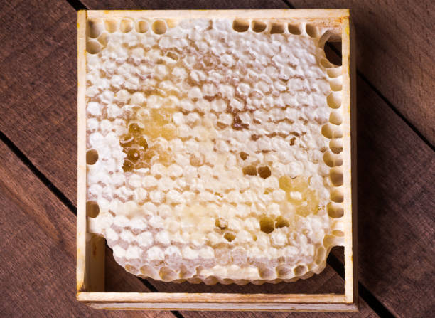 istock honeycomb in a frame with honey on a wooden table 1273827388