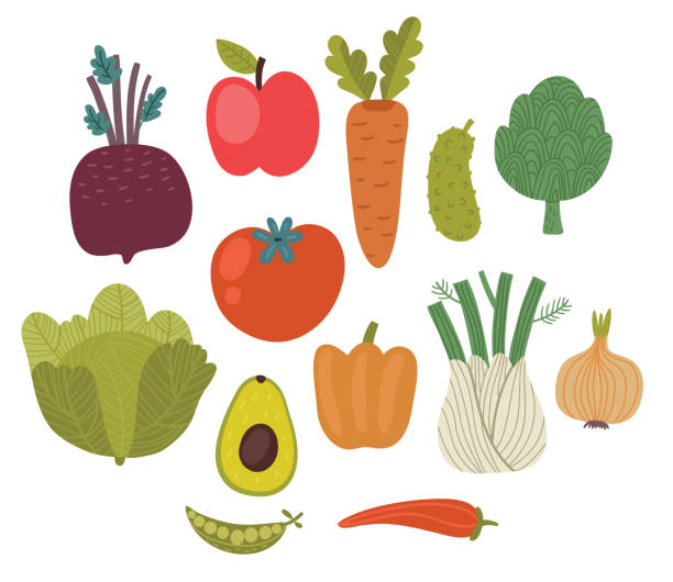 A variety of Vegetables. vector set. Illustration A variety of Vegetables. vector set. Illustration Artichoke stock illustrations