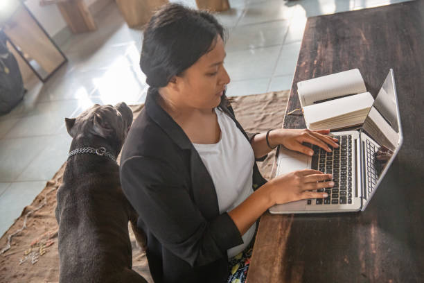 istock Indian woman working from home 1273828919