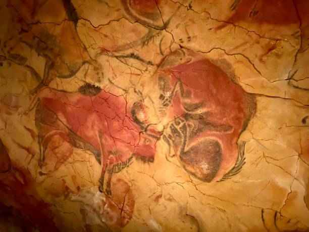 Altamira rock painting Cave paintings of the cave of Altamira, Cantabria cantabria photos stock pictures, royalty-free photos & images