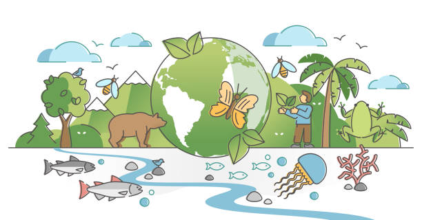 ilustrações de stock, clip art, desenhos animados e ícones de biodiversity as natural wildlife species or fauna protection outline concept - biodiversity