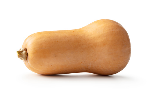 Vegetables: Butternut Squash Isolated on White Background