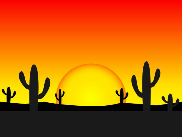 Sunset in the desert vector Sunset in the desert vector illustration background phoenix arizona sun stock illustrations