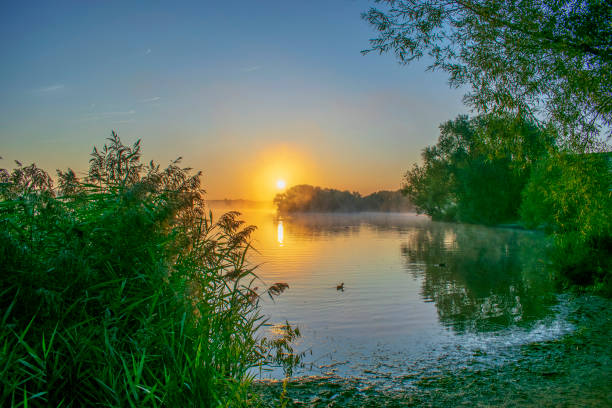 Early morning sunrise during a beautiful springtime day over the Zwartendijk, the old Zuiderzee levee in the IJsseldelta near Kampen in Overijssel The Netherlands.